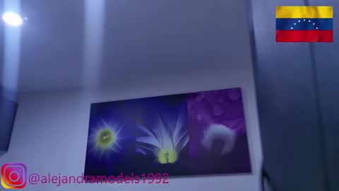 Snapshot of alejandra1992_ chatting on 01.24.25 Alejandra online show from 01.24.25