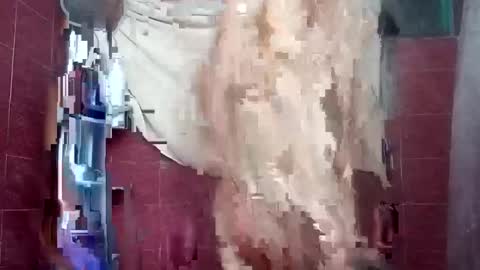 alejandrochao84 online show from 10.05.25