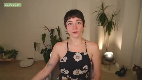 Ale online show from 04.02.26