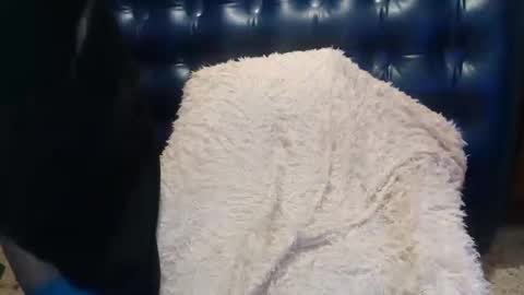 Luly online show from 02.14.25