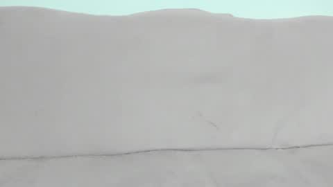 Snapshot of alessyaaa chatting on 01.25.25 Ale online show from 01.25.25