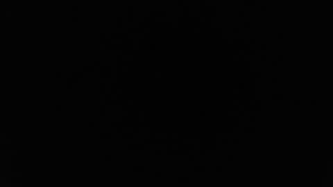 Alex online show from 02.26.26