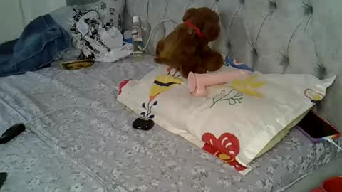 Alexa online show from 02.16.25