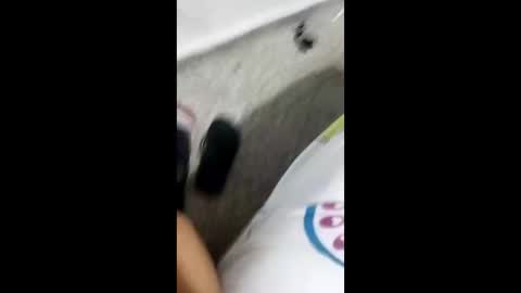 Snapshot of alexamdergal chatting on 01.09.25 Alexamdergal online show from 01.09.25