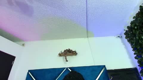 Snapshot of alexarousse4u chatting on 02.24.26 Alexa online show from 02.24.26