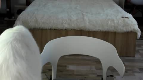 Snapshot of alexarti chatting on 02.19.26 Alex online show from 02.19.26