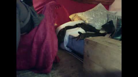 alexischat online show from 09.25.25