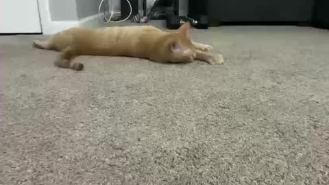 Snapshot of alexispaige06 chatting on 10.11.25 alexispaige06 online show from 10.11.25