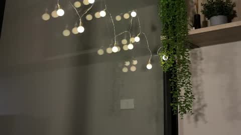 Snapshot of alexwos chatting on 01.23.25 Alex online show from 01.23.25