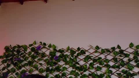 Snapshot of alice_rous21 chatting on 10.23.25 alice_rous21 online show from 10.23.25