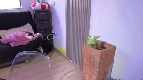 Alice online show from 12.18.25