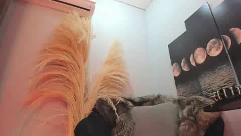 ALICE  online show from 11.11.25