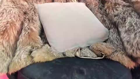 ALICE  online show from 11.20.25