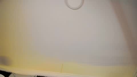 ALICE  online show from 02.18.26