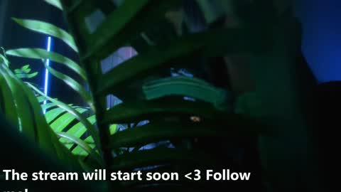 Alicia Lici  online show from 12.02.24