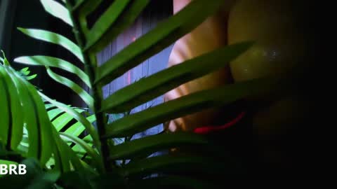 Alicia Lici  online show from 01.02.25