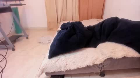 Alis 3 independent model 3 online show from 02.07.25