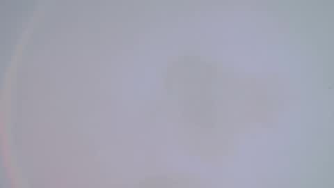     online show from 02.14.25