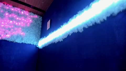 Alissa online show from 12.27.24