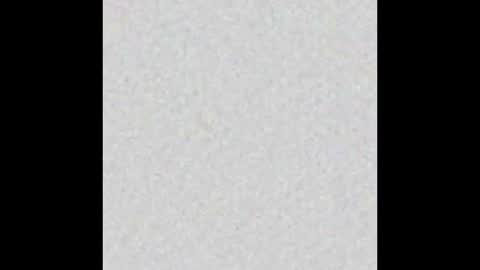 Snapshot of alisse_moore chatting on 10.14.25 Alisse online show from 10.14.25