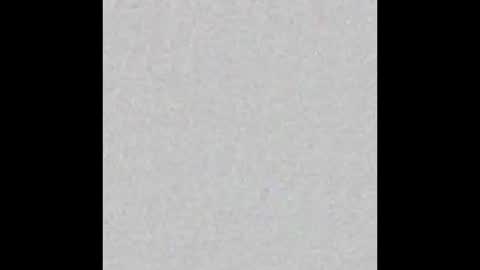 Alisse online show from 02.14.26