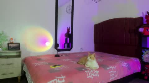 Snapshot of alisson_zafiro chatting on 12.17.24 Alisson IG alisson zafiro27 online show from 12.17.24