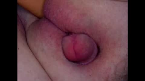 Growing Wiener online show from 03.04.26