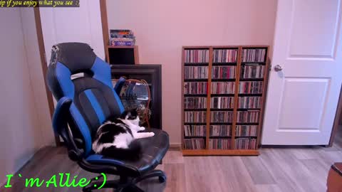 Snapshot of alliekat62 chatting on 12.29.24 Allie online show from 12.29.24