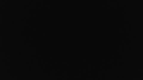 Allisson online show from 10.17.25