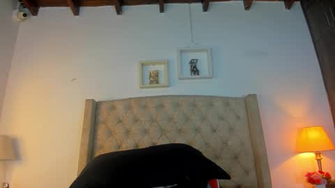 allisson online show from 02.26.26