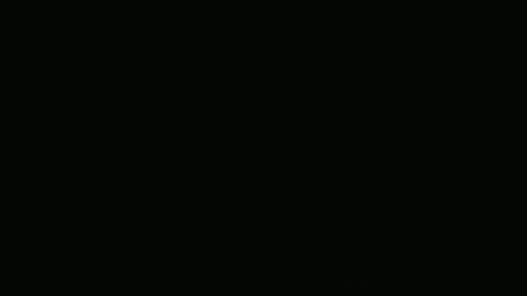 Frank online show from 12.09.24