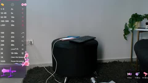 allymdo online show from 11.19.25