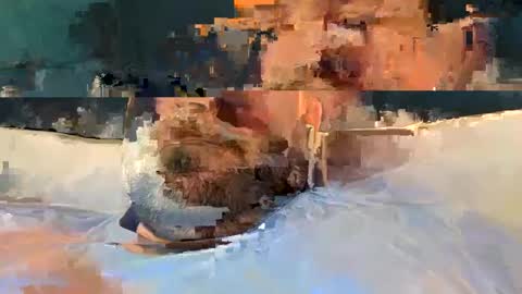 alpachino7777 online show from 02.19.25