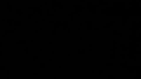 Shelby or if you want to make me purr just call me Kitten  online show from 01.29.25