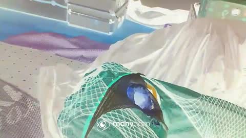 HoneyMelonGuy online show from 01.03.25