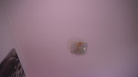 Snapshot of alyonaqueen_ chatting on 12.22.24 Alyona online show from 12.22.24