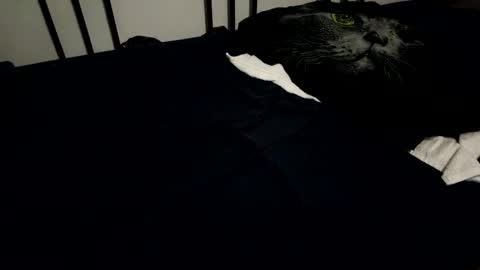 amadeusz online show from 12.06.24