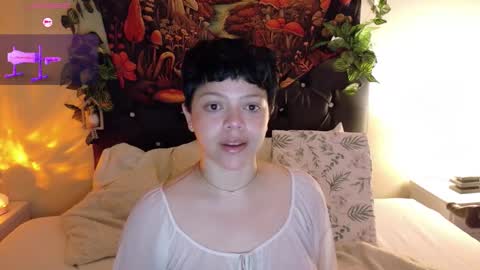         online show from 09.20.25