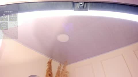 Amara Lewis online show from 01.24.25