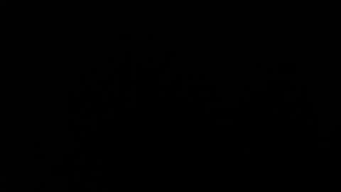 Amarantha online show from 01.19.25