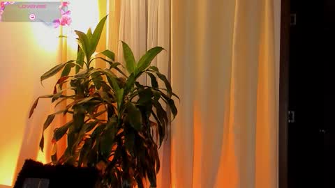 Snapshot of amatistahot1 chatting on 10.11.25 Amatista online show from 10.11.25