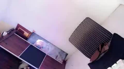 Snapshot of amayafucks1 chatting on 10.08.25 Amaya online show from 10.08.25