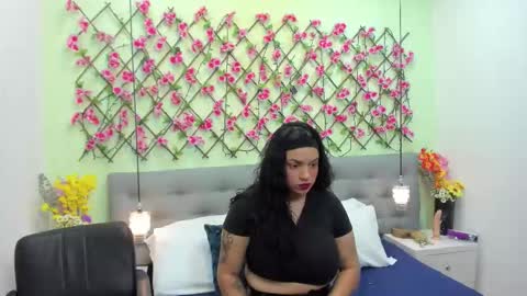 Snapshot of ambar85 chatting on 11.22.25 ambar85 online show from 11.22.25