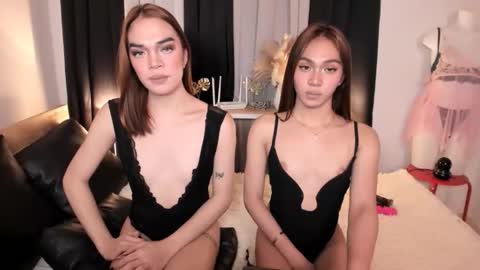 BIGCOCK AMBER online show from 12.02.25