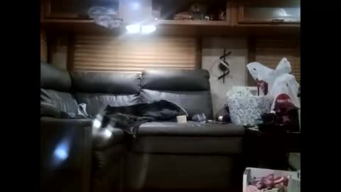 ambionce online show from 10.21.25