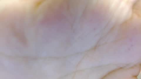 amelia_fry online show from 03.05.25