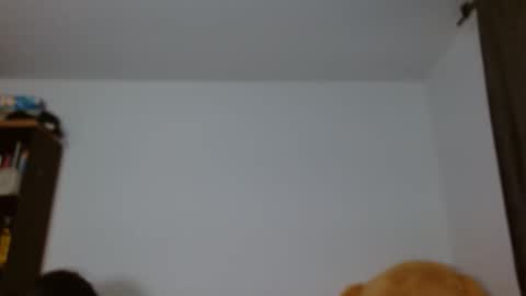 Snapshot of ammbaar1 chatting on 11.25.25 Ambaar online show from 11.25.25