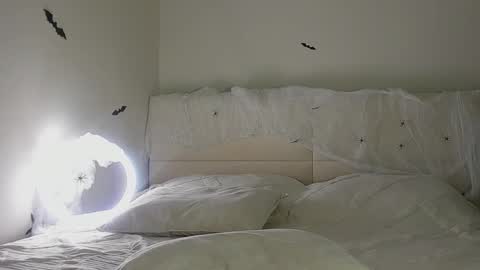 amy1_1 online show from 10.31.25