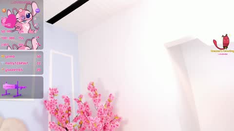 Amykord online show from 01.19.25