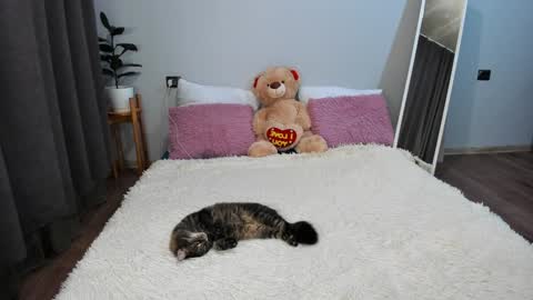 amymilson online show from 12.20.24